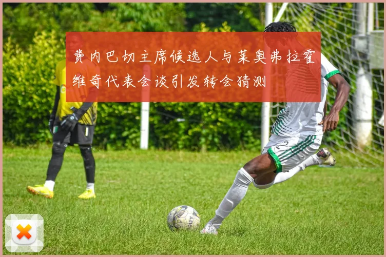 费内巴切主席候选人与莱奥弗拉霍维奇代表会谈引发转会猜测