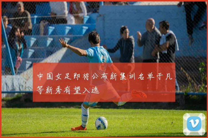 中国女足即将公布新集训名单于凡等新秀有望入选